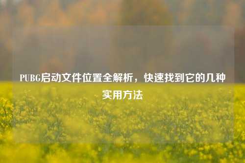PUBG启动文件位置全解析,快速找到它的几种实用方法