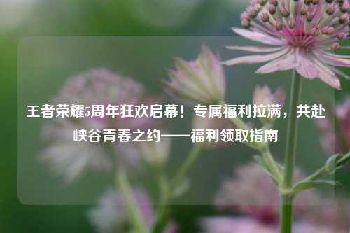 王者荣耀5周年狂欢启幕!专属福利拉满,共赴峡谷青春之约——福利领取指南