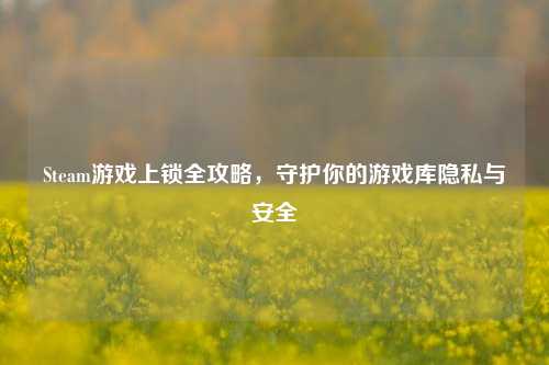 Steam游戏上锁全攻略，守护你的游戏库隐私与安全