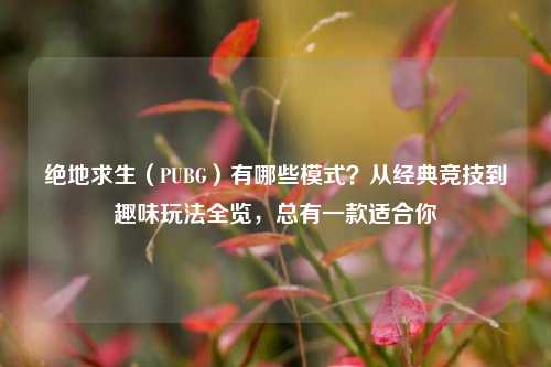绝地求生（PUBG）有哪些模式？从经典竞技到趣味玩法全览，总有一款适合你