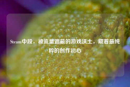Steam中段，被流量遮蔽的游戏沃土，藏着最纯粹的创作初心