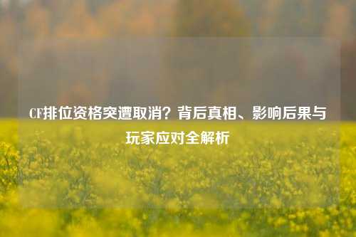 CF排位资格突遭取消？背后真相、影响后果与玩家应对全解析