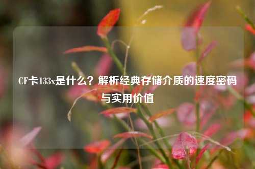 CF卡133x是什么？解析经典存储介质的速度密码与实用价值