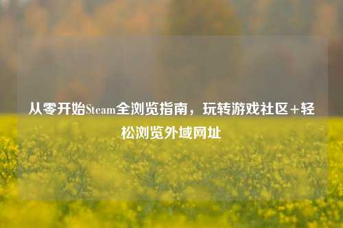 从零开始Steam全浏览指南，玩转游戏社区+轻松浏览外域网址