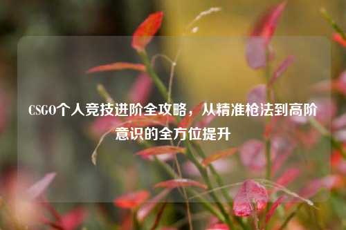 CSGO个人竞技进阶全攻略，从精准枪法到高阶意识的全方位提升
