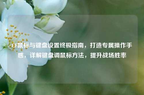 CF鼠标与键盘设置终极指南，打造专属操作手感，详解键盘调鼠标方法，提升战场胜率