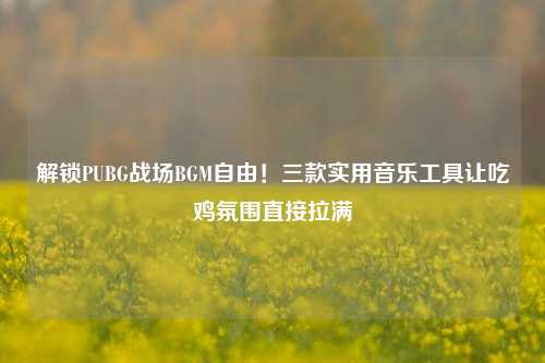 解锁PUBG战场BGM自由!三款实用音乐工具让吃鸡氛围直接拉满