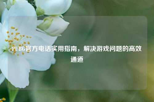 PUBG官方电话实用指南，解决游戏问题的高效通道