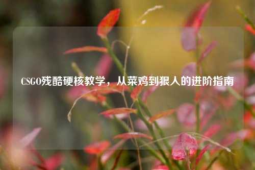 CSGO残酷硬核教学，从菜鸡到狠人的进阶指南