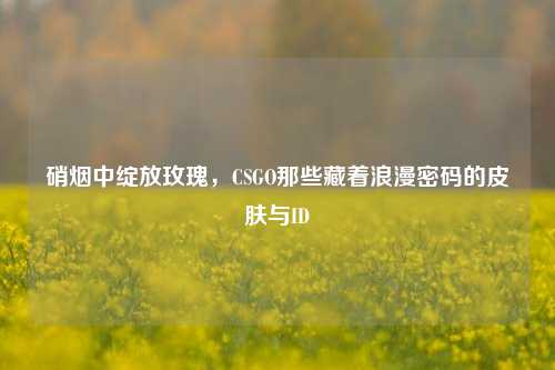 硝烟中绽放玫瑰，CSGO那些藏着浪漫密码的皮肤与ID