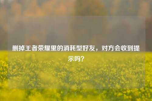 删掉王者荣耀里的消耗型好友，对方会收到提示吗？