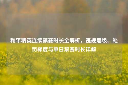 和平精英连续禁赛时长全解析，违规层级、处罚梯度与单日禁赛时长详解