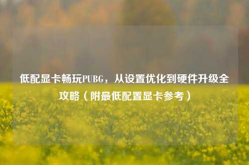 低配显卡畅玩PUBG,从设置优化到硬件升级全攻略(附最低配置显卡参考)