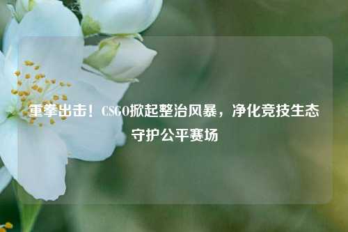 重拳出击！CSGO掀起整治风暴，净化竞技生态守护公平赛场