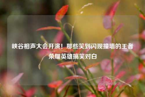 峡谷相声大会开演!那些笑到闪现撞墙的王者荣耀英雄搞笑对白