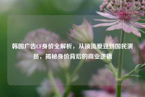 韩国广告CF身价全解析,从顶流爱豆到国民演员,揭秘身价背后的商业逻辑