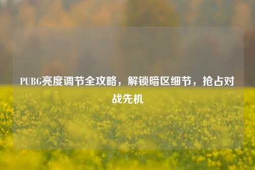 PUBG亮度调节全攻略，解锁暗区细节，抢占对战先机