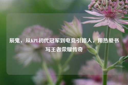 辰鬼,从KPL初代冠军到电竞引路人,用热爱书写王者荣耀传奇