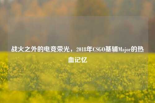 战火之外的电竞荣光，2018年CSGO基辅Major的热血记忆