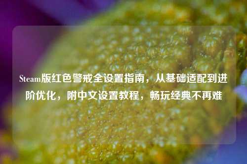 Steam版红色警戒全设置指南，从基础适配到进阶优化，附中文设置教程，畅玩经典不再难