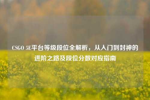 CSGO 5E平台等级段位全解析，从入门到封神的进阶之路及段位分数对应指南