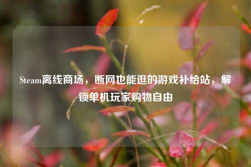 Steam离线商场，断网也能逛的游戏补给站，解锁单机玩家购物自由