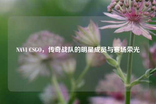 NAVI CSGO，传奇战队的明星成员与赛场荣光