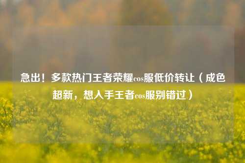 急出!多款热门王者荣耀cos服低价转让(成色超新,想入手王者cos服别错过)