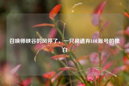 召唤师峡谷的风停了，一只被遗弃LOL账号的独白