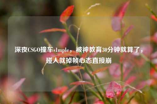 深夜CSGO撞车s1mple,被神教育30分钟就算了,碰人就掉帧心态直接崩