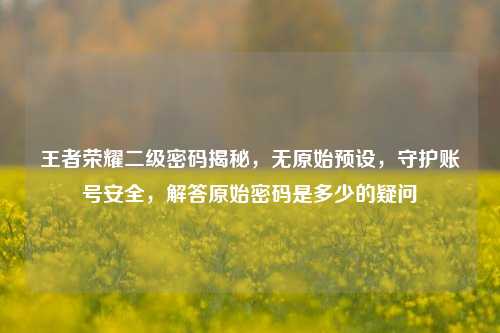 王者荣耀二级密码揭秘，无原始预设，守护账号安全，解答原始密码是多少的疑问