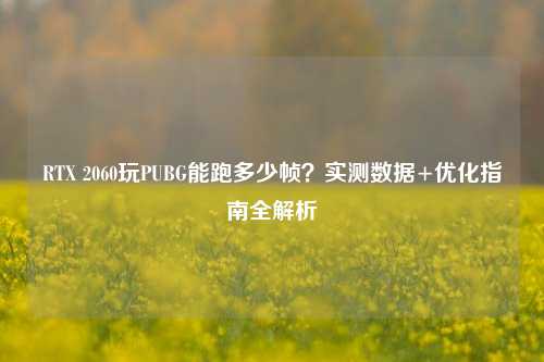 RTX 2060玩PUBG能跑多少帧？实测数据+优化指南全解析