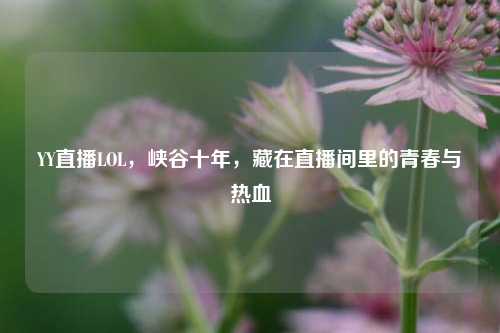 YY直播LOL，峡谷十年，藏在直播间里的青春与热血