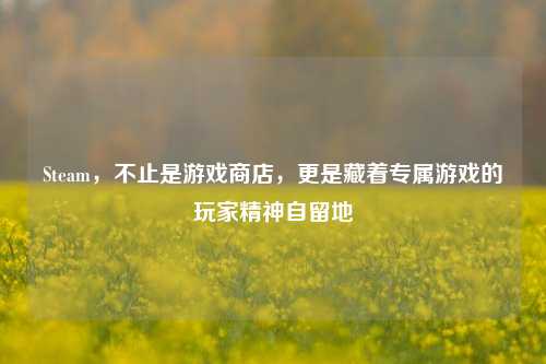 Steam，不止是游戏商店，更是藏着专属游戏的玩家精神自留地
