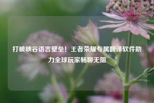 打破峡谷语言壁垒！王者荣耀专属翻译软件助力全球玩家畅聊无阻