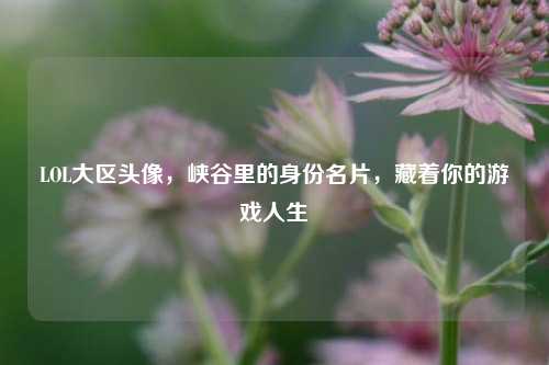 LOL大区头像,峡谷里的身份名片,藏着你的游戏人生