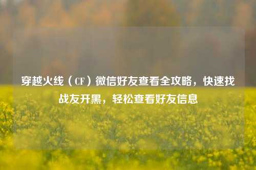 穿越火线（CF）微信好友查看全攻略，快速找战友开黑，轻松查看好友信息