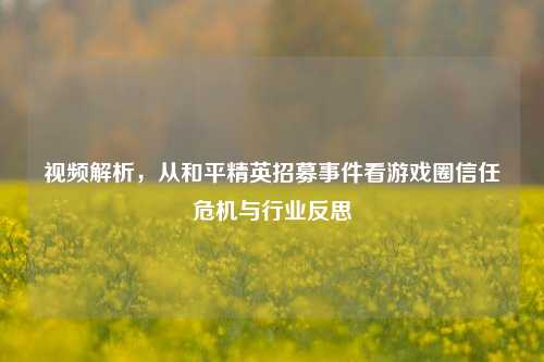 视频解析,从和平精英招募事件看游戏圈信任危机与行业反思