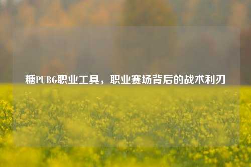 糖PUBG职业工具，职业赛场背后的战术利刃