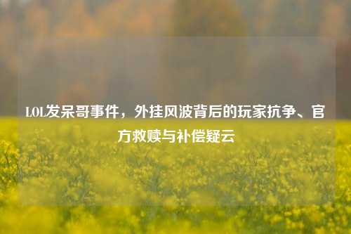 LOL发呆哥事件,外挂风波背后的玩家抗争、官方救赎与补偿疑云