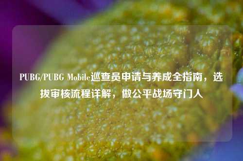 PUBG/PUBG Mobile巡查员申请与养成全指南，选拔审核流程详解，做公平战场守门人
