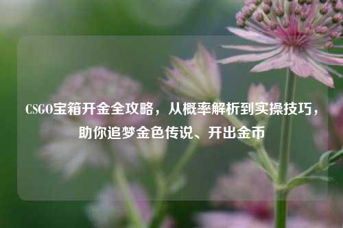 CSGO宝箱开金全攻略,从概率解析到实操技巧,助你追梦金色传说、开出金币