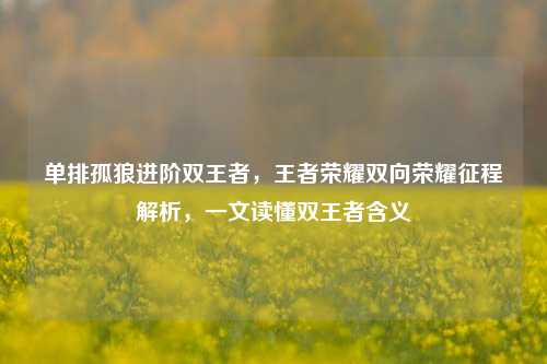 单排孤狼进阶双王者，王者荣耀双向荣耀征程解析，一文读懂双王者含义