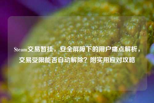 Steam交易暂挂，安全屏障下的用户痛点解析，交易受限能否自动解除？附实用应对攻略