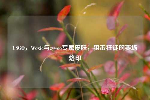 CSGO，Woxic与zywoo专属皮肤，狙击狂徒的赛场烙印