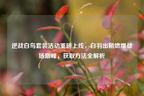 逆战白鸟套装活动重磅上线，白羽出鞘燃爆战场巅峰，获取方法全解析