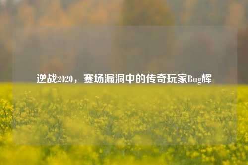 逆战2020,赛场漏洞中的传奇玩家Bug辉