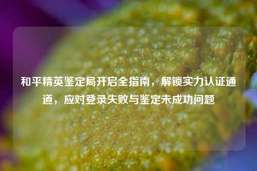 和平精英鉴定局开启全指南，解锁实力认证通道，应对登录失败与鉴定未成功问题
