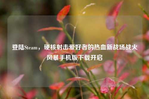 登陆Steam,硬核射击爱好者的热血新战场战火风暴手机版下载开启