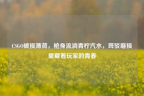CSGO破损薄荷，枪身流淌青柠汽水，斑驳磨损里藏着玩家的青春